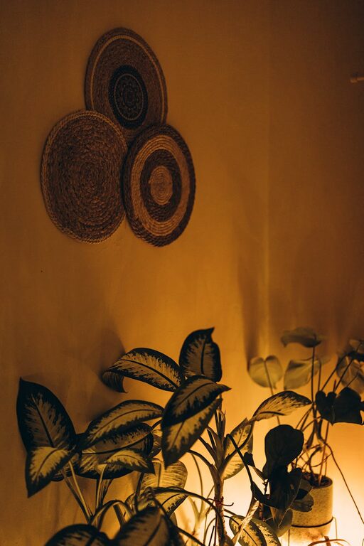 Simple Ways to Create a Cozy and Inviting Home Environment